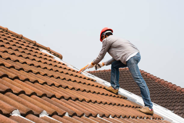 Best Sheet Metal Roofing  in Kahuku, HI