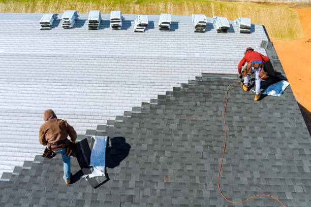 Best Metal Roofing Installation  in Kahuku, HI